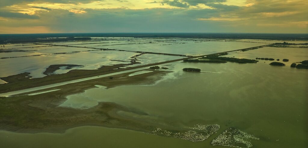 2.500 de hectare din Delta Dunării riscă să dispară, peste noapte. Zona Carasuhat este în pericol să fie secată din nou!