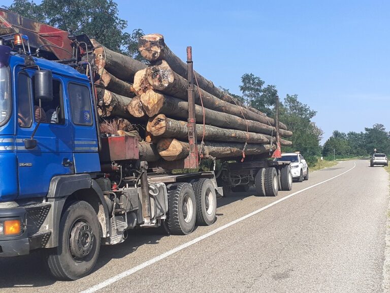 În Bihor s-au impus reguli mai stricte pentru transportatorii de marfă, în vederea protejării drumurilor județene