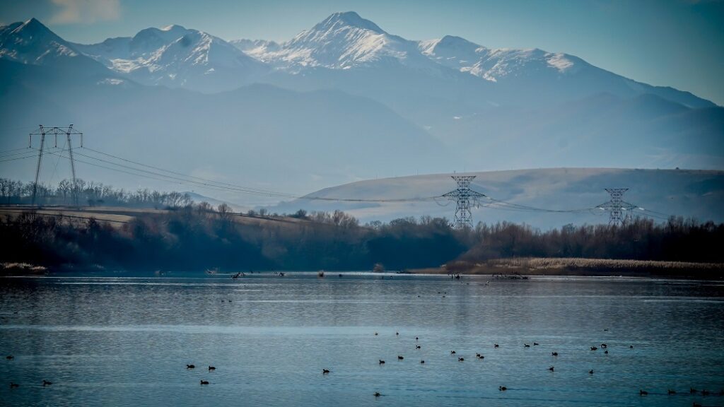 Lacul de acumulare Bucium Orlea, iarna, refugiu pentru păsările migratoare