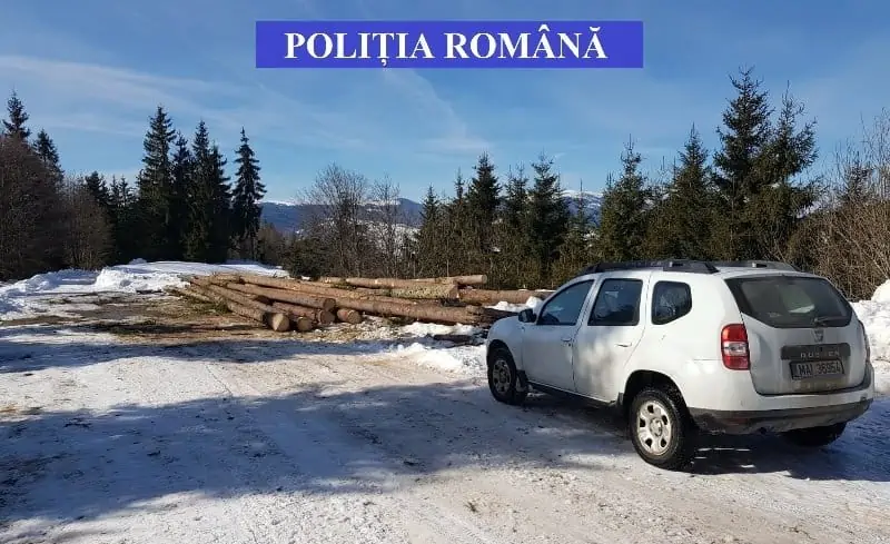 21 de controale ale poliției în Alba și Apuseni într-o acțiune pentru combaterea tăierilor ilegale de arbori