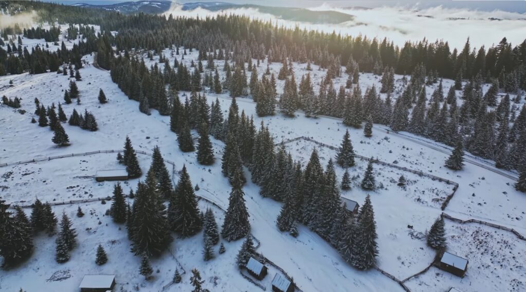 S-a înfiinţat Registrul Forestier Naţional, în care vor fi incluşi toţi proprietarii de pădure din România