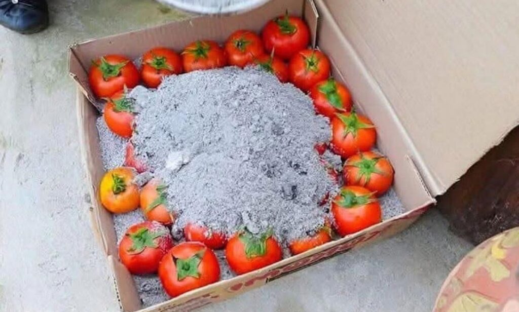 Cum se păstrează roșiile proaspete timp de luni de zile folosind o metodă naturală și străveche?