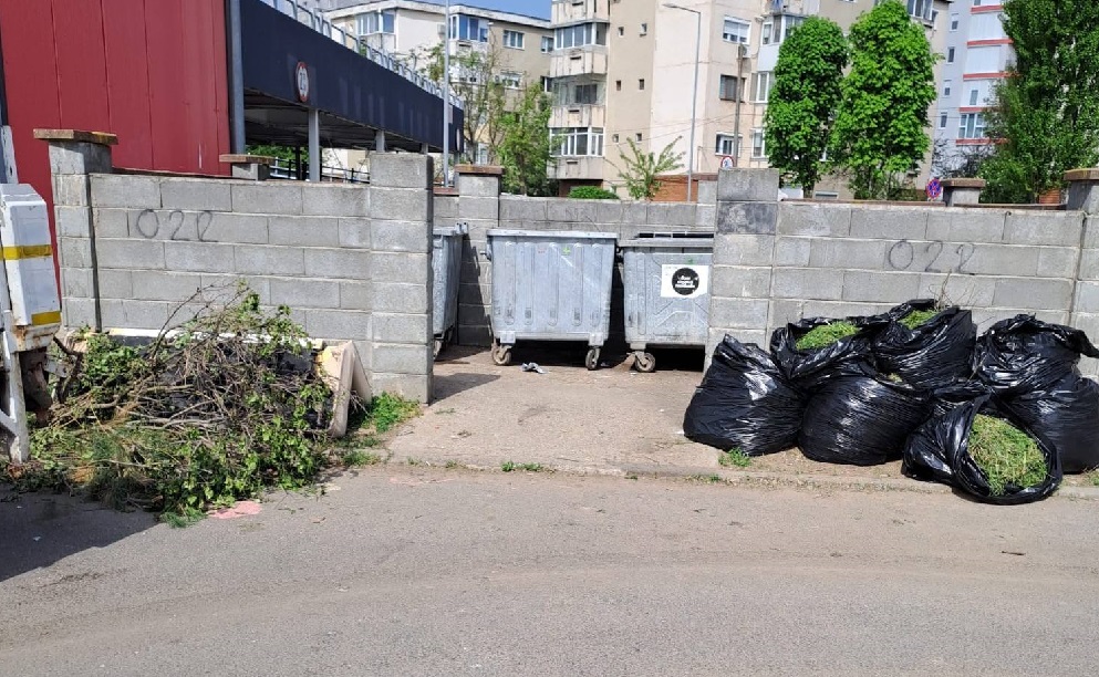 Primăria din Arad lansează o nouă campanie de curățenie generală de primăvară