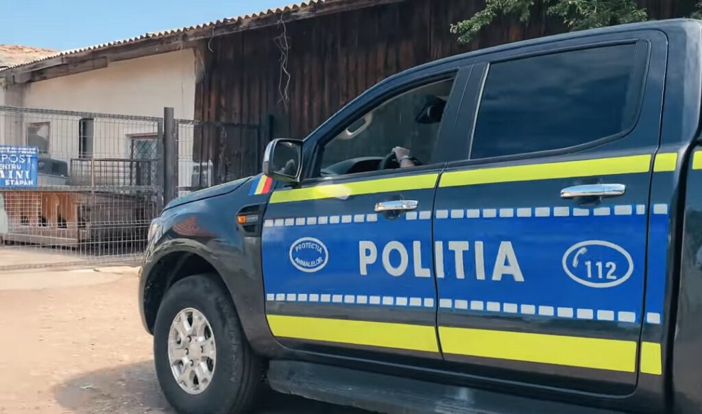 Un bărbat din Țețchea a fost reținut de polițiștii bihoreni pentru organizarea de lupte cu animale
