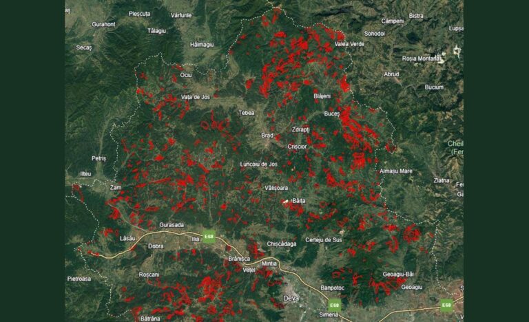 Călin Marian: Proiectele de dezvoltare ale județului Hunedoara riscă să fie afectate de declararea unor suprafețe mari drept Zone de Protecție Strictă (ZPS)
