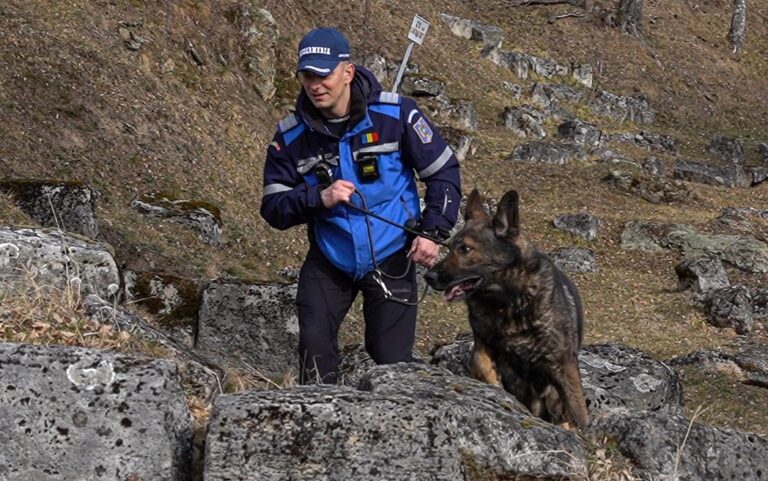 Ajutor de nădejde în misiunile jandarmilor. Dino și Efa, doi căței tineri antrenați pentru misiuni de căutare-salvare în mediu natural