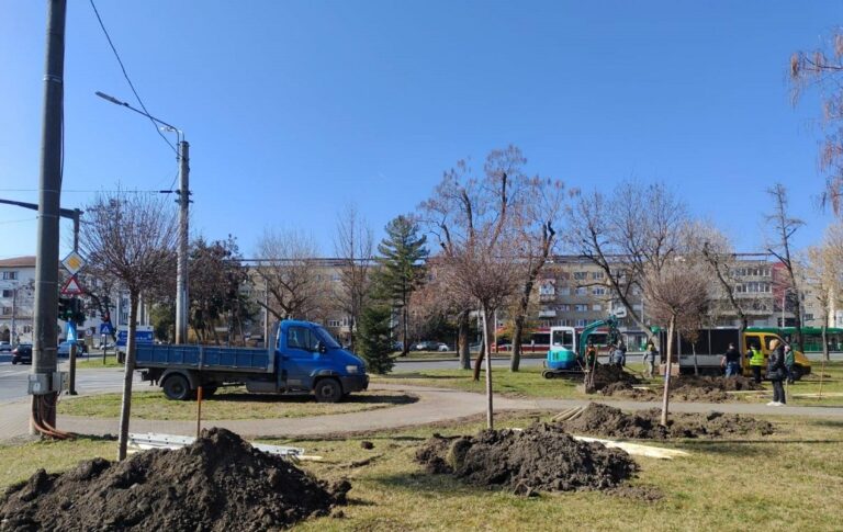Primăria Arad continuă acțiunile de revitalizare a spațiilor verzi prin plantarea de arbori în Arad