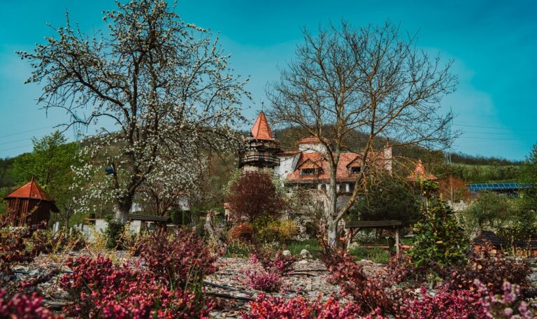 Castelul Lupilor Transilvania își redeschide porțile: Castelul îmbină istoria, misterul și relaxarea într-un cadru desprins din povești