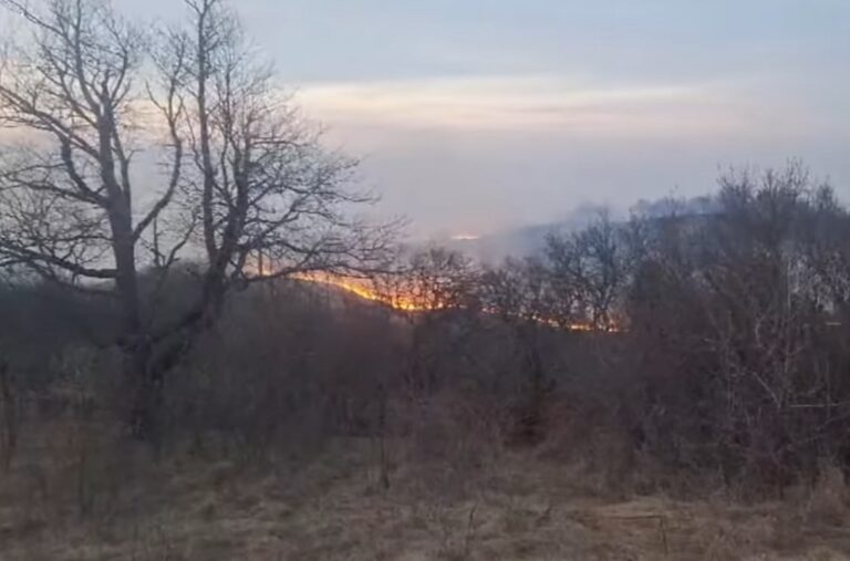 Un incendiu de vegetație a izbucnit în Bărăști, Albac