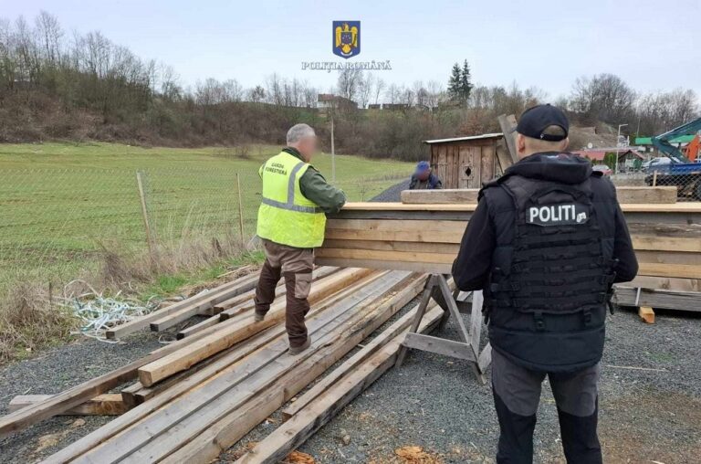Sancțiuni de peste 23.000 de lei aplicate de polițiști din Brad pentru nereguli în gestionarea și transportul materialului lemnos