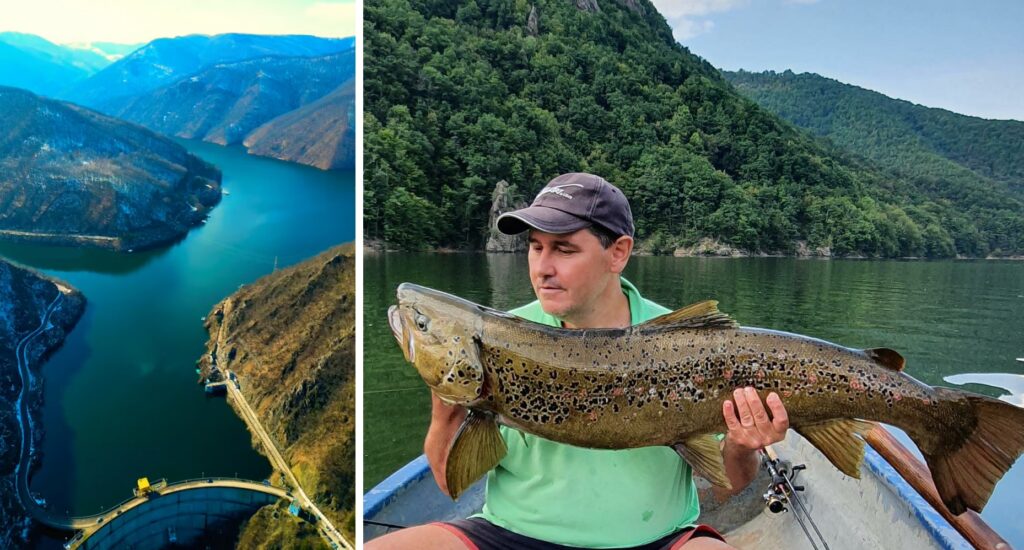 De ce cresc păstrăvi uriași în lacul Tarnița? Explicația unui fenomen rar