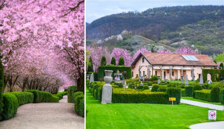 Raiul roz din Ardeal, o grădină aristocratică inspirată de peisajele toscane. La I Giardini di Zoe florile și arborile crează un peisaj de basm!