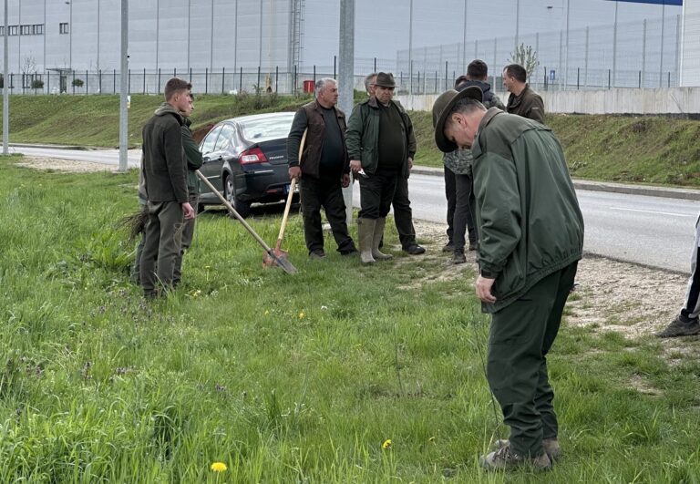 Oradea va mai avea un nou plămân verde! 2.100 de puieți de salcâm plantați în două zone ale orașului!