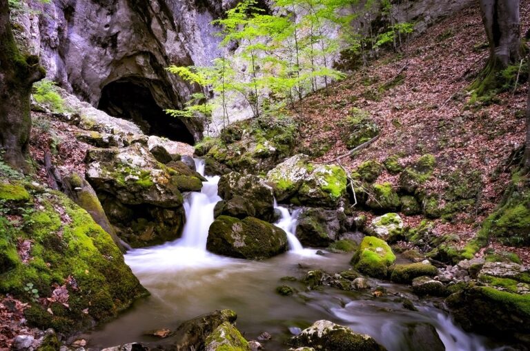 Peștera Cioclovina, destinația de neratat din Șureanu. Traseul până la peșteră traversează păduri dese, poieni alpine și versanți stâncoși