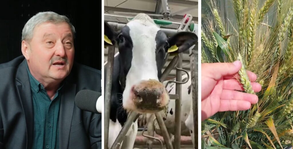 Dorel Secară: „Politica agricolă națională este dușmănoasă cu fermierii români”