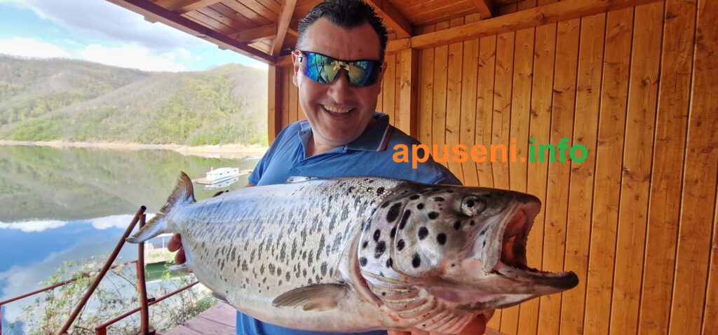 Un nou păstrăv monstru a fost pescuit din Tarnița!