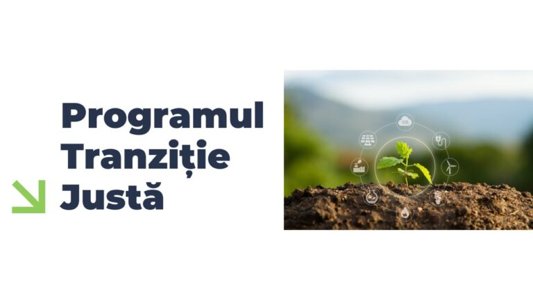 Comunicat de presă: lansare proiect pentru Bivolul Rental SRL