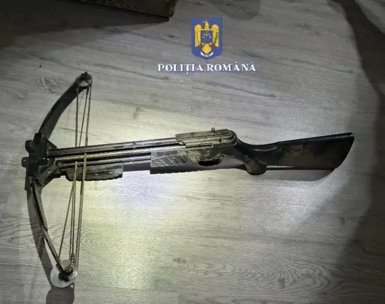 Razia de amploare în Brad și comunele învecinate: arme și muniții ilegale confiscate