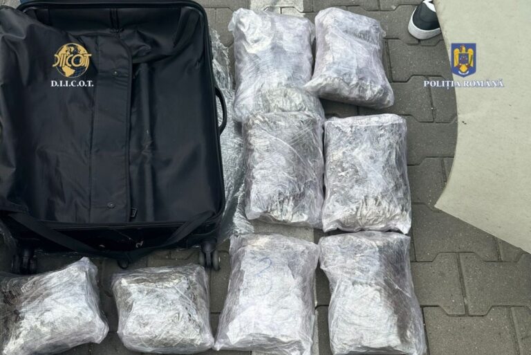 Captură impresionantă în vestul țării: Peste 6,5 kilograme de canabis aduse din Spania, ascunse în pachete cu cafea!