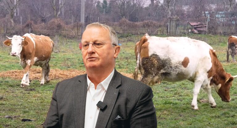 Agricultura românească are nevoie de soluții, nu de birocrație excesivă. Lăpușan: „O problemă gravă este accesul tinerilor fermieri la fonduri europene!”
