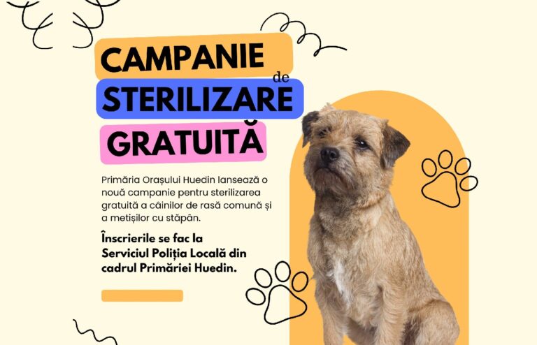 Campanie de sterilizare gratuită a câinilor cu stăpân în Huedin