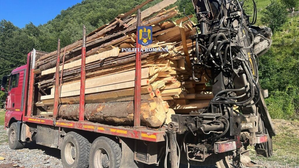 Percheziții la Băișoara într-un dosar de tăieri ilegale de lemn: peste 18 metri cubi confiscați