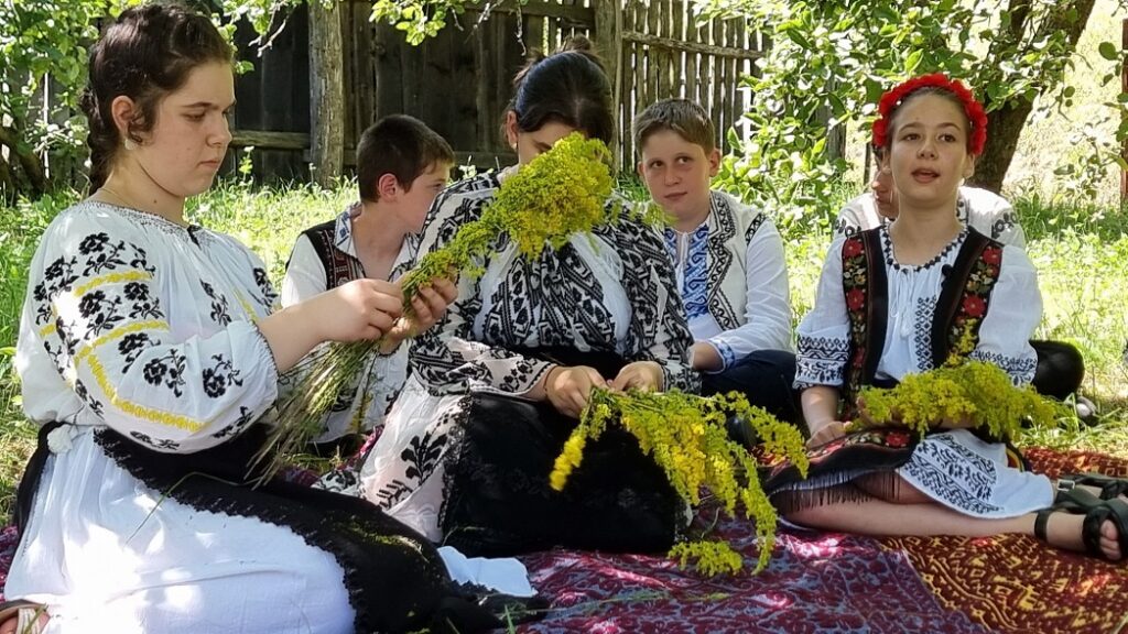 Sânzienele între natură, tradiție și frumusețe arhaică
