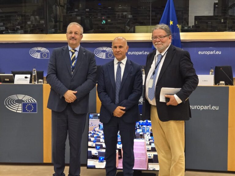Funcție europeană de top pentru Vasile Dîncu – vicepreședinte al Delegației Parlamentului European la Adunarea Parlamentară NATO