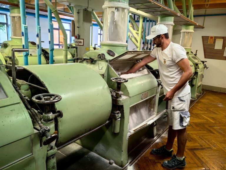 Oficialii arădeni au vizitat cea mai veche moară funcțională din județul Csongrád: 70% din producție merge spre piața din România!