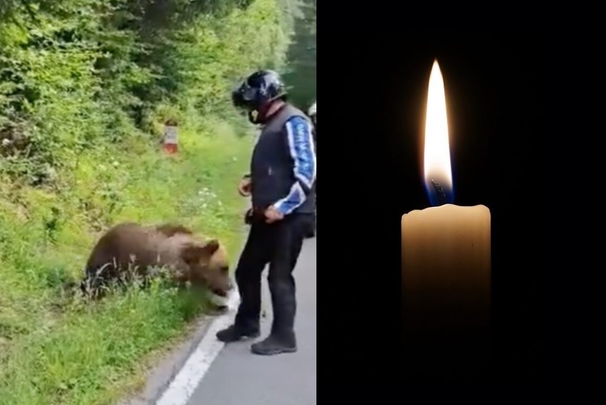 Tragedie pe Transfăgărășan! Un motociclist a fost ucis de un urs, în apropierea barajului Vidraru!