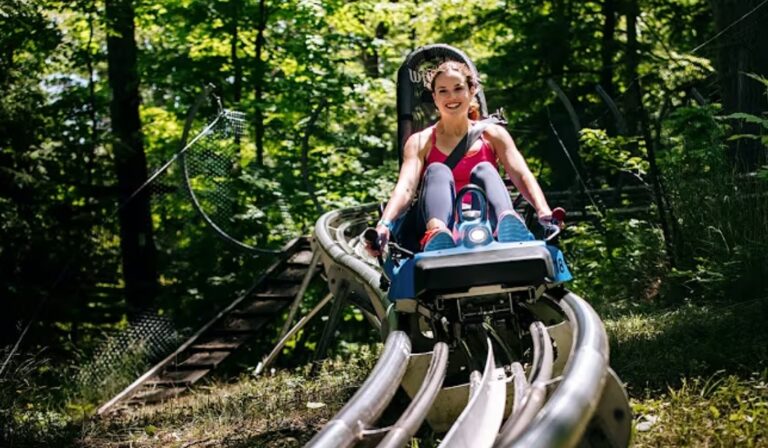 Investiție majoră pentru turismul din Apuseni, un parc de aventură de 10 milioane de euro! Se va construi într-una dintre cele mai pitorești zone!