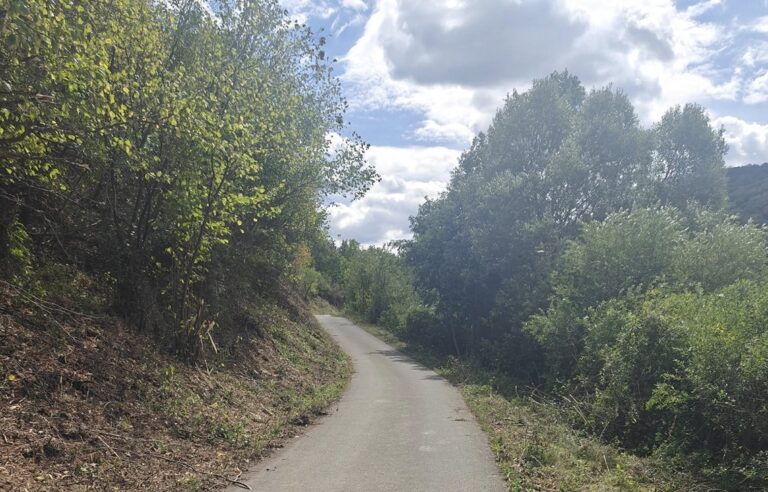 Lucrări de toaletare a vegetației de pe marginea drumului dintre Morlaca și Bologa