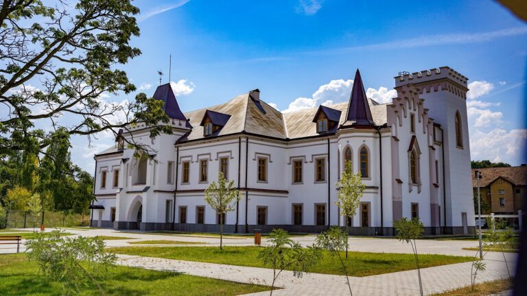 Castelul Nopcsa din Săcel găzduiește prima sa expoziție temporară