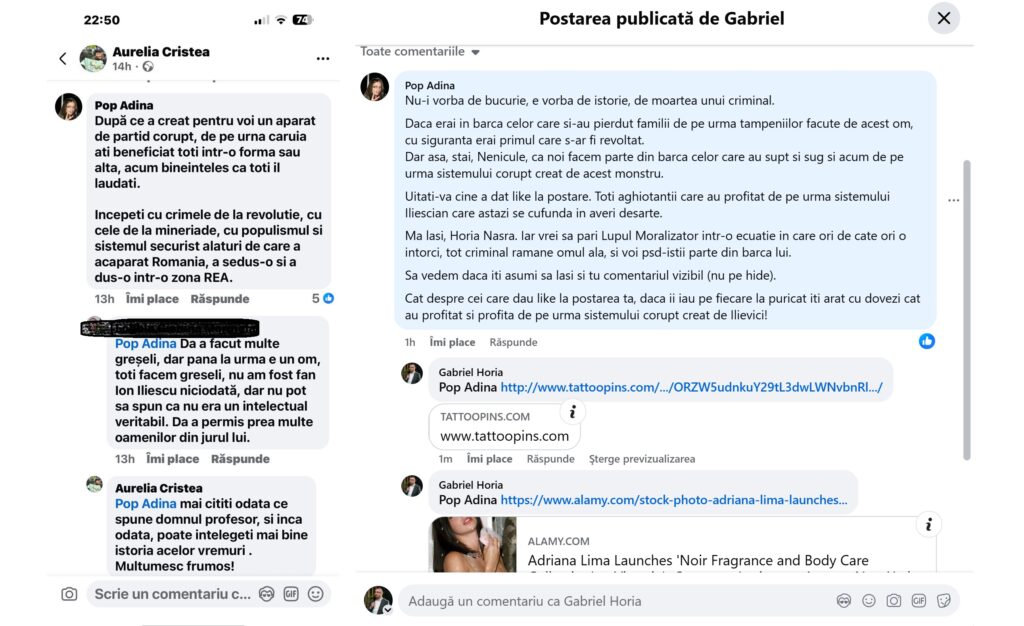 Conturi false cu poze furate, folosite în comentarii politice: cazul Adriana Lima