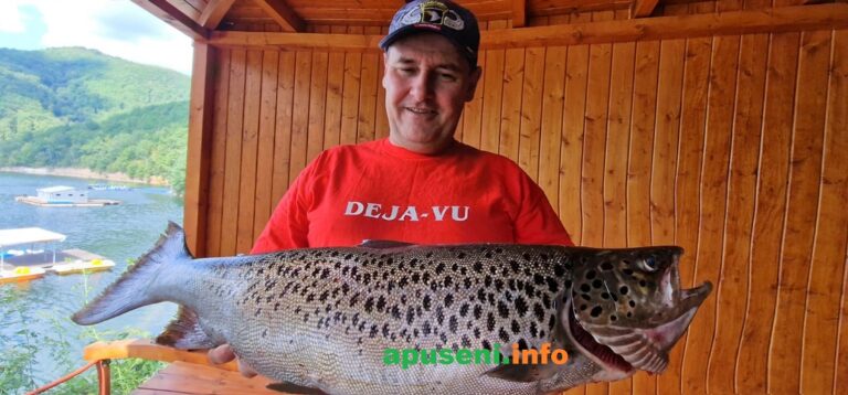 Captură record la Tarnița: Un păstrăv uriaș de 106 centimetri a fost prins după o oră de „luptă” Vasile Ilea: „O nouă captură de povestit nepoților!”