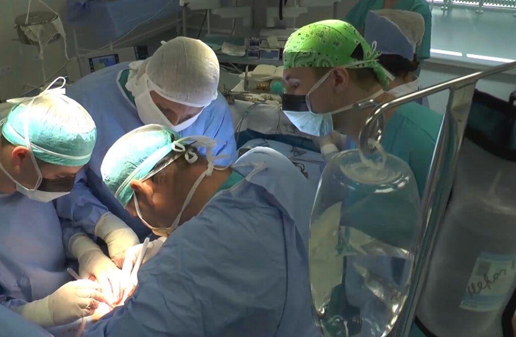 Chinezii au reușit să transplanteze un plămân de porc la om
