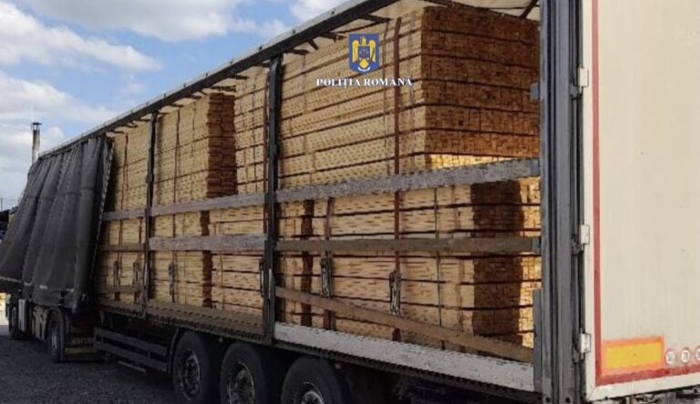 Transport ilegal de material lemnos depistat de polițiștii din Huedin