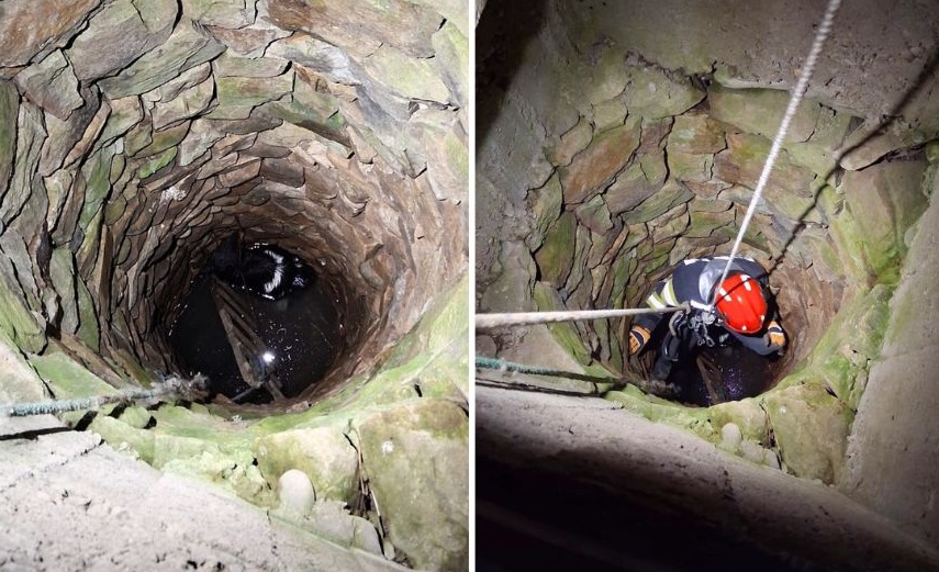 O capră căzută într-o fântână la Șuncuiuș a fost salvată de pompieri în toiul nopții