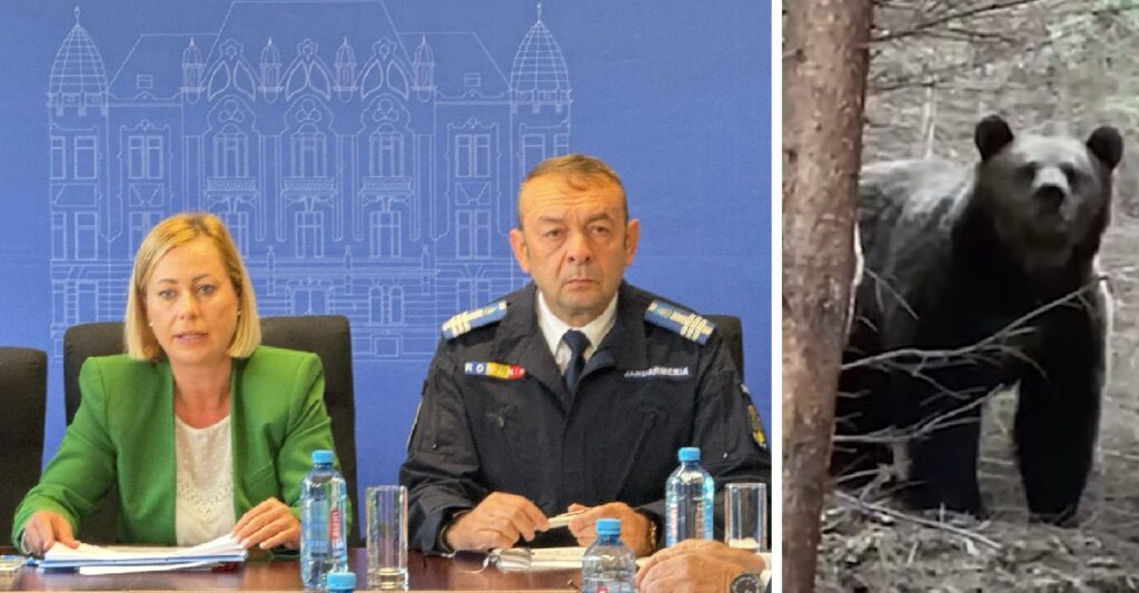 Crește numărul atacurilor urșilor în județul Cluj. Prefectul Maria Forna anunță măsuri: „Siguranța clujenilor este prioritatea noastră absolută!”
