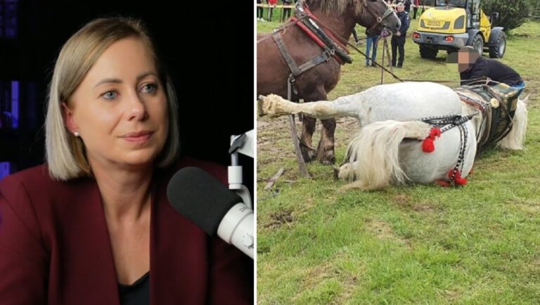 Maria Forna, prefectul Clujului: „Concursurile de tracțiune cabalină trebuie să devină istorie. Este un act de normalitate să protejăm animalele”