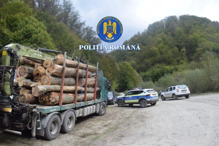 Controale intense pe transportul lemnelor în județul Arad