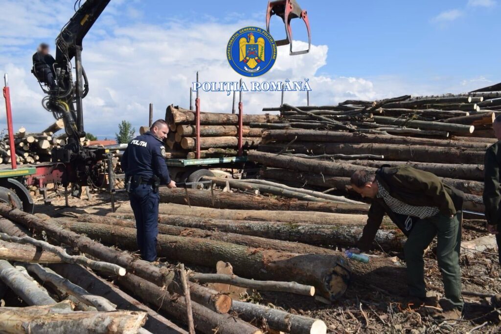 Controale ale polițiștilor în județul Hunedoara pentru combaterea tăierilor ilegale de lemn