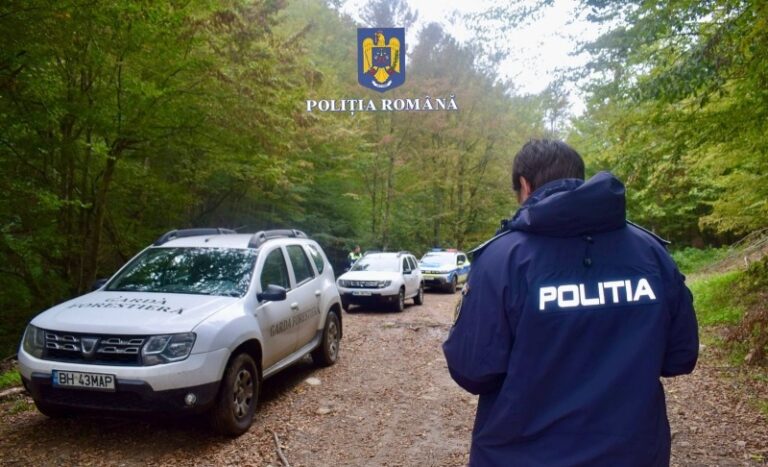 Controale ample în județul Arad pentru combaterea tăierilor ilegale de lemn