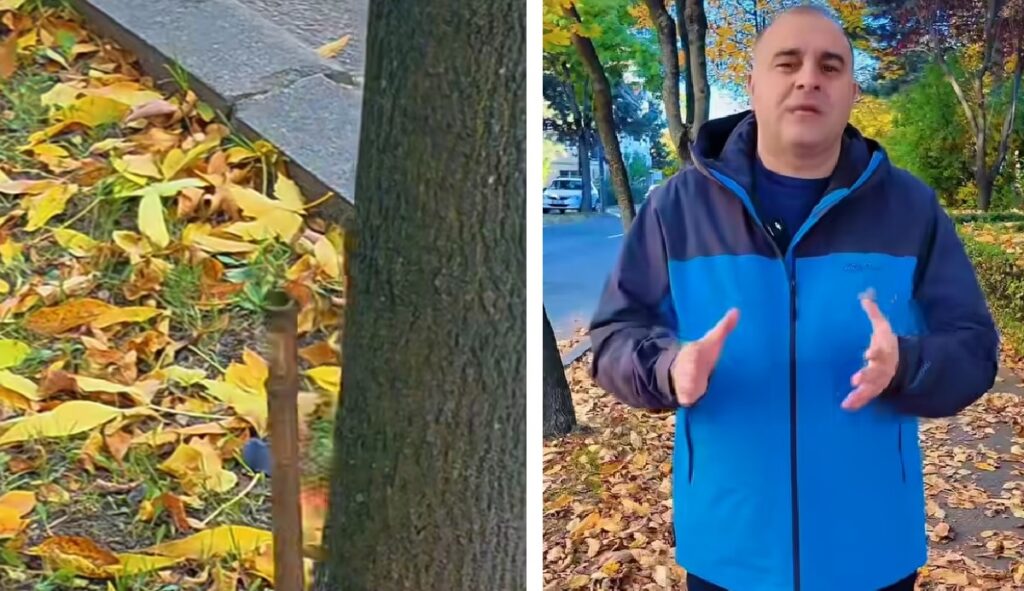 Dan Tarcea: „Din păcate, pentru unii, respectul față de natură nu mai înseamnă nimic” (VIDEO)