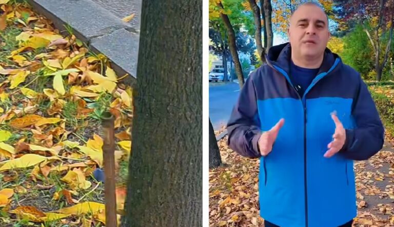 Dan Tarcea: „Din păcate, pentru unii, respectul față de natură nu mai înseamnă nimic” (VIDEO)
