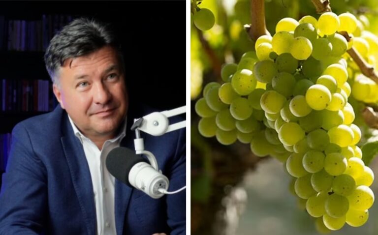 Vinurile de Transilvania. Zaig Eckhardt: „Vinurile noastre se disting printr-o intensitate aromatică puternică, o aciditate ridicată, fiind mai minerale și mai proaspete!”