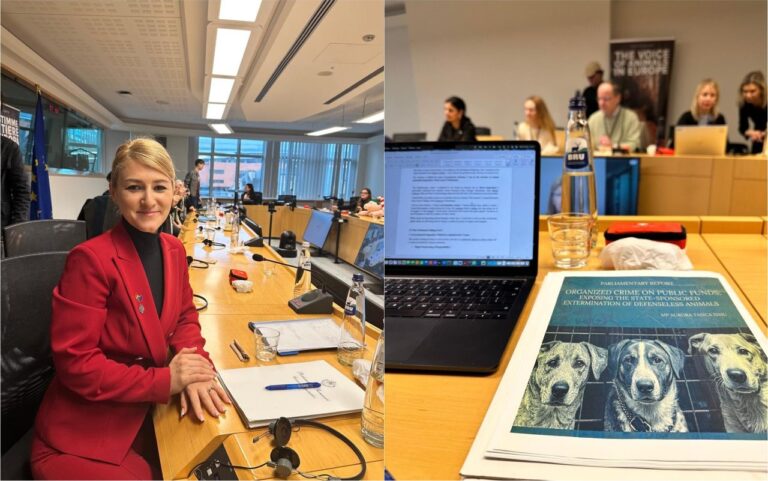 „Industria morții” din adăposturile publice pentru câini, denunțată la Bruxelles. Deputatul Aurora Tasica Simu cere intervenția UE pentru stoparea abuzurilor din România