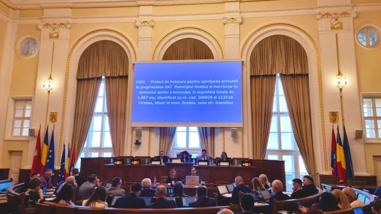 Consiliul Local Oradea aprobă anularea datoriilor mici către bugetul local pentru persoane fizice și juridice