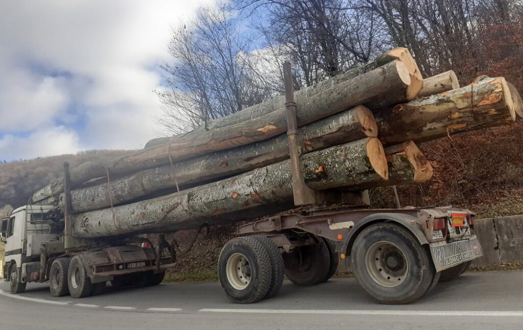 Mai multe controale pentru protejarea drumurilor județene din Bihor