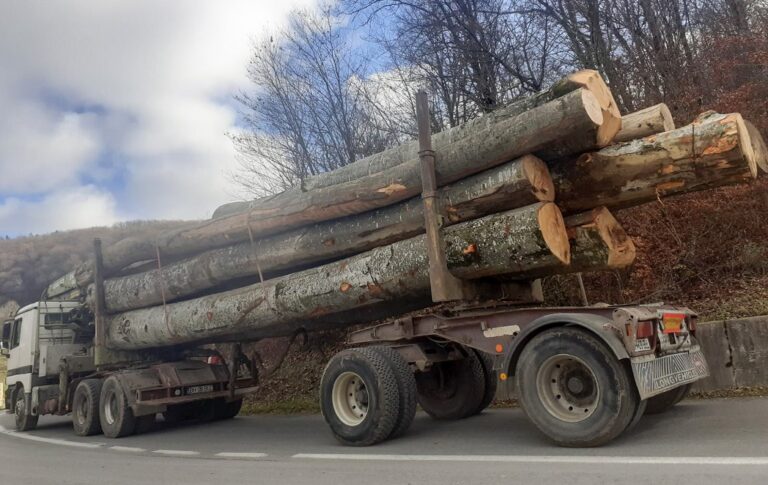 Mai multe controale pentru protejarea drumurilor județene din Bihor